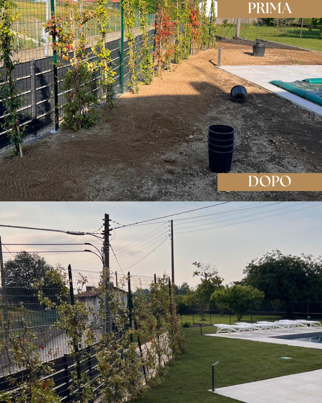 Progettazione Giardini
